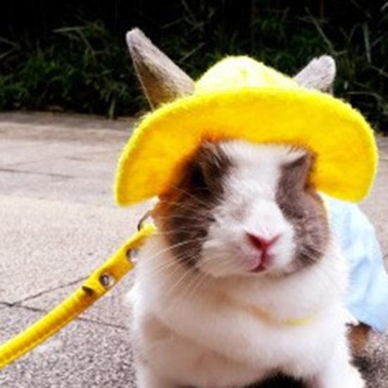 Bunny Hat Keep Warm Holiday Dress Up Winter Pet Costume Hamster Hat Pet Supplies