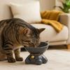 Anti Overturning Ceramic Cat Bowl Non-slip Pet High Foot Bowl Dog Food Bowl  For Cats Dogs