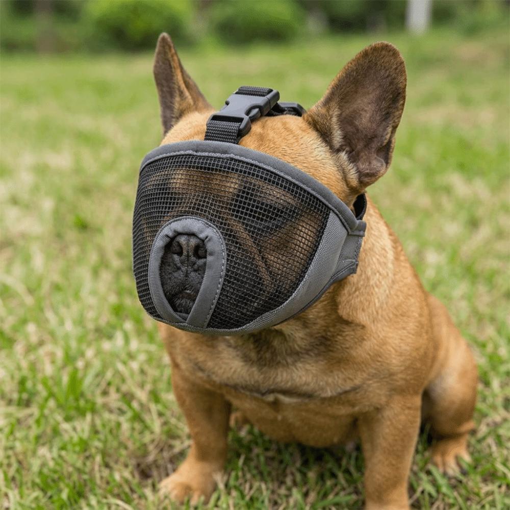 Adjustable Short Snout Muzzle Breathable Short Snout Dog Muzzle Flat Face Muzzle  Daily Walk
