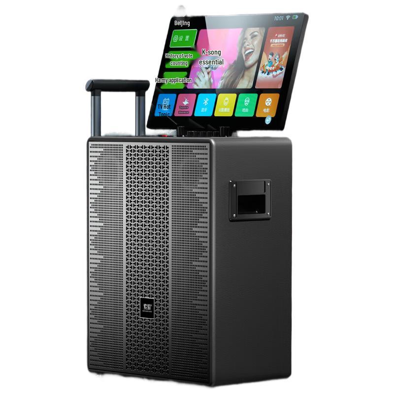 Suoai K157 High-Power Portable Karaoke System