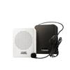 DESHUN Wireless Portable Voice Amplifier with Bluetooth and FM Radio
