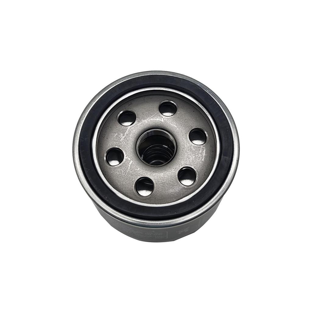 BMW S1000 RR K46 2010 Motorcycle Oil Filter HF160