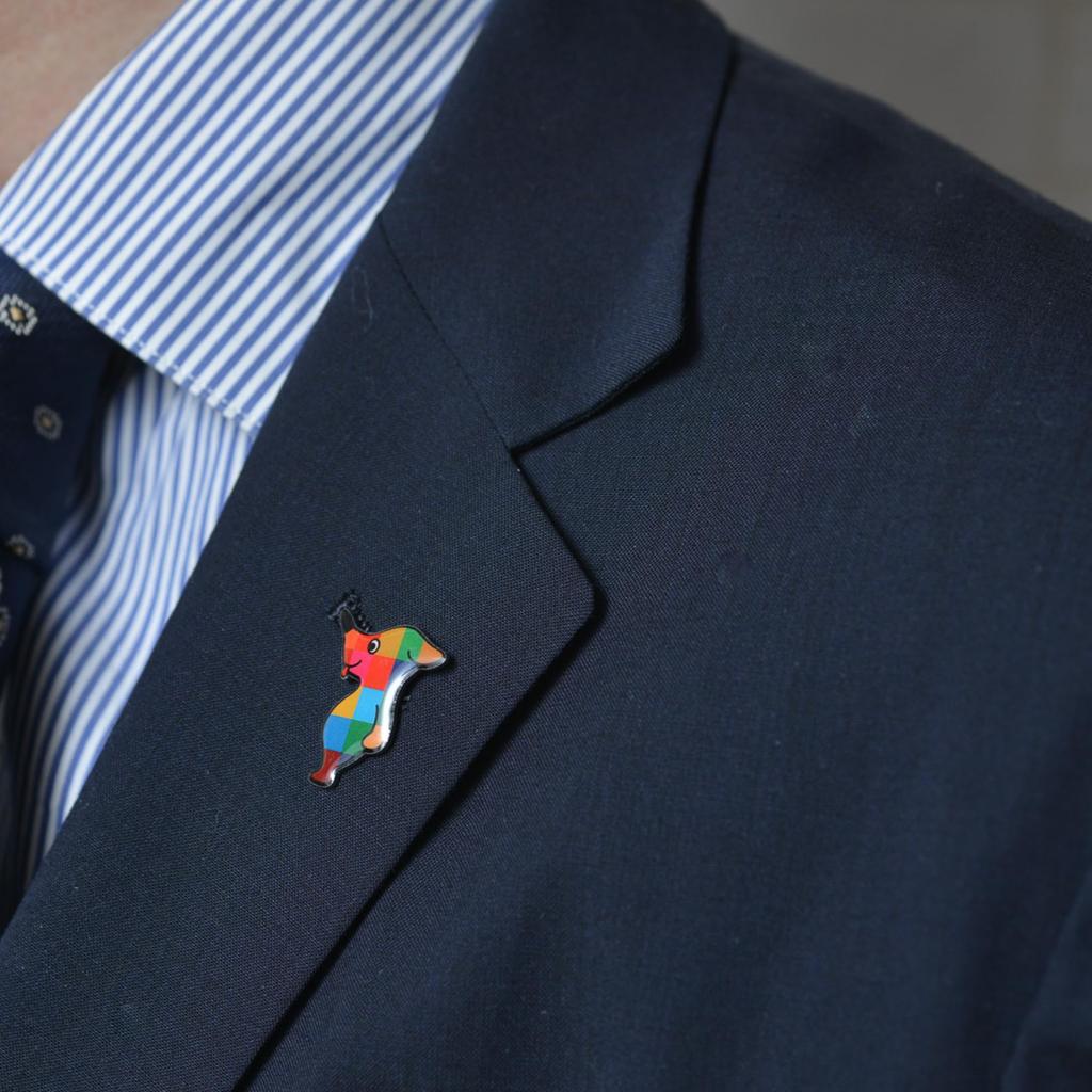 SDGs Badge Pin Badge Chiba Prefecture Mascot Character Badge Chiba-kun