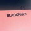 [USED] BLACKPINK'S 2019 Welcoming Collection Seagreen