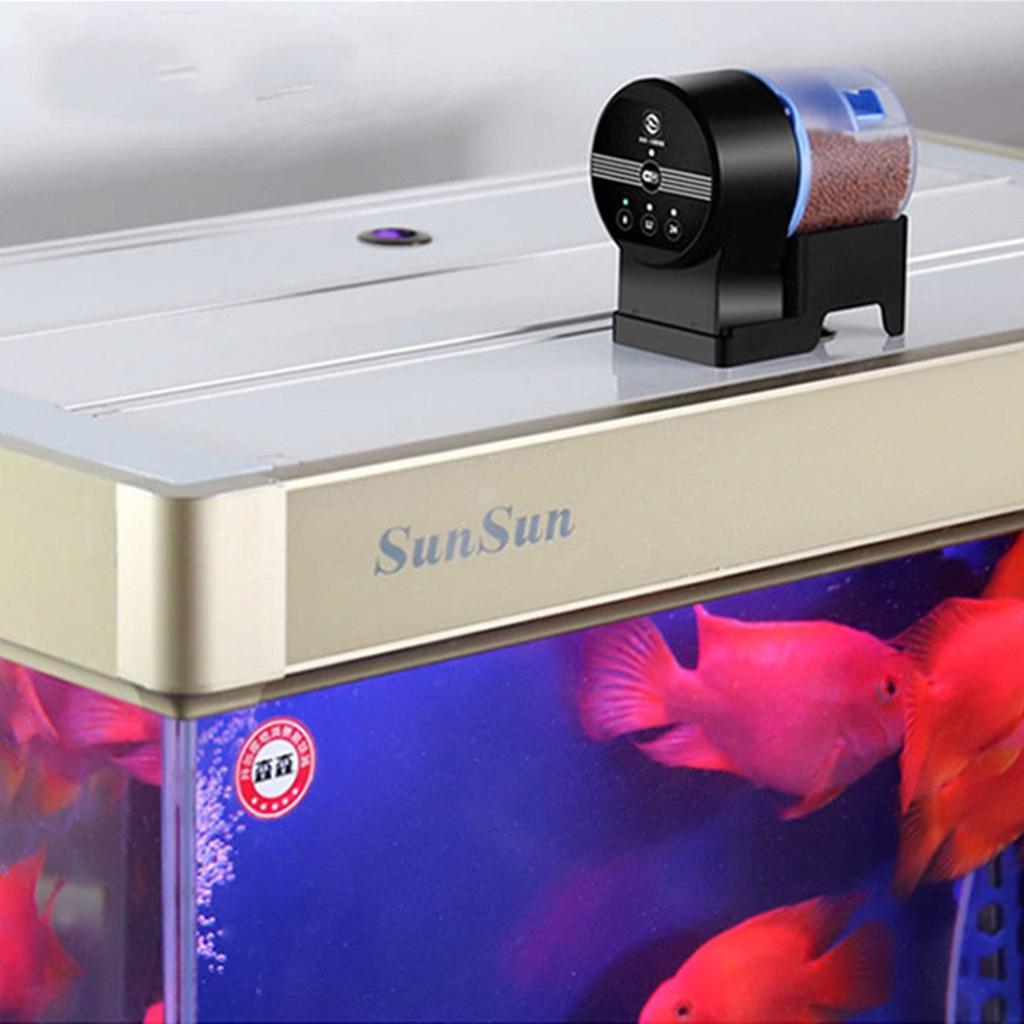 automatic goldfish feeder