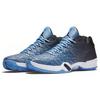 Jordan XX9 Low Unc 828051-401