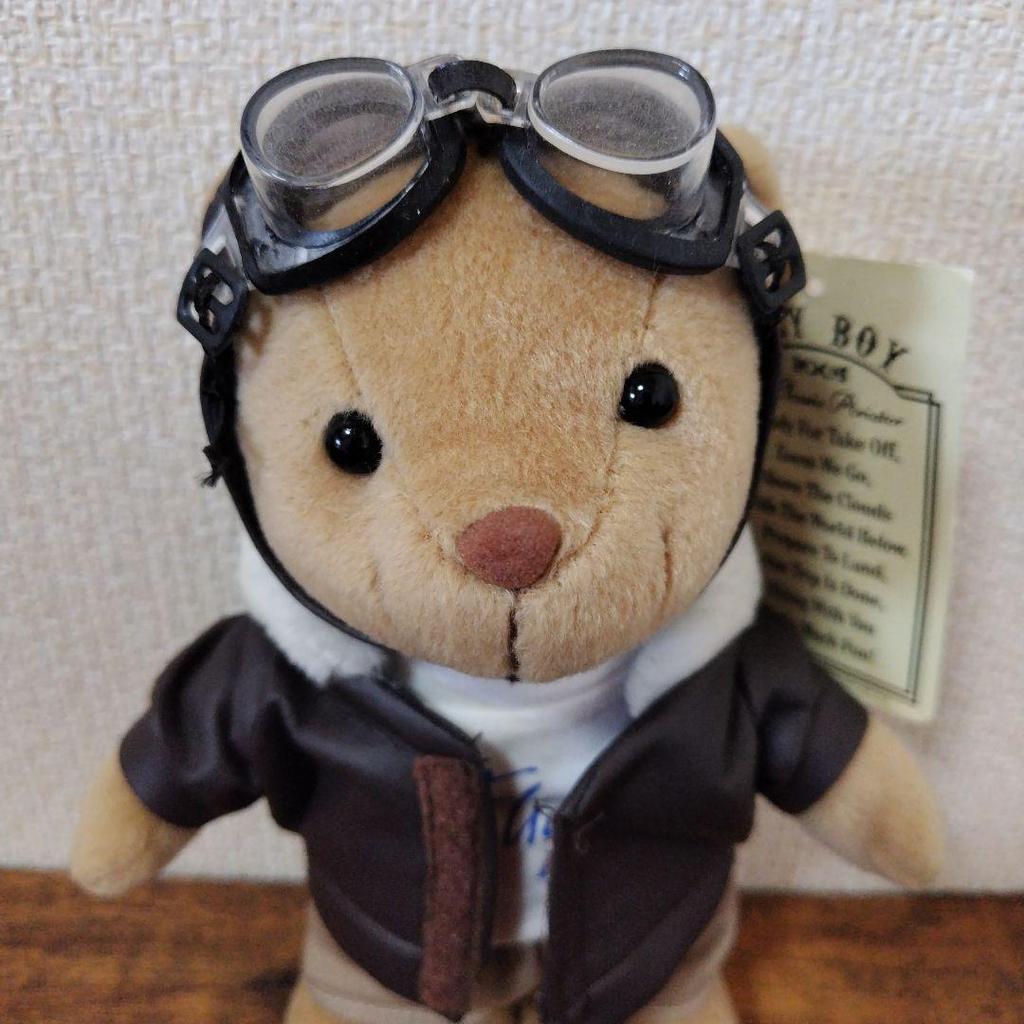 [USED] Pilot Teddy Bear FLY BOY Bear Plush Toy