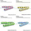 Simulated Alloy City Subway And Bullet Train Models For Collection Display And