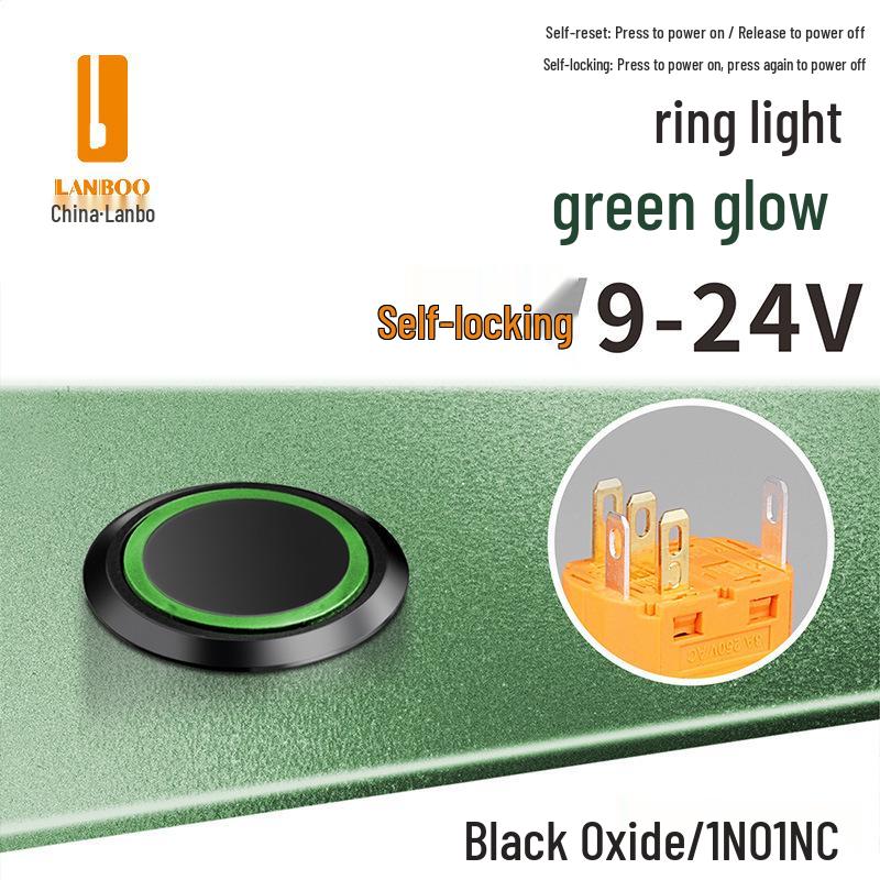 Lanbo 22A Stainless Steel Illuminated Self-Locking Momentary Push Button Elevator Switch
