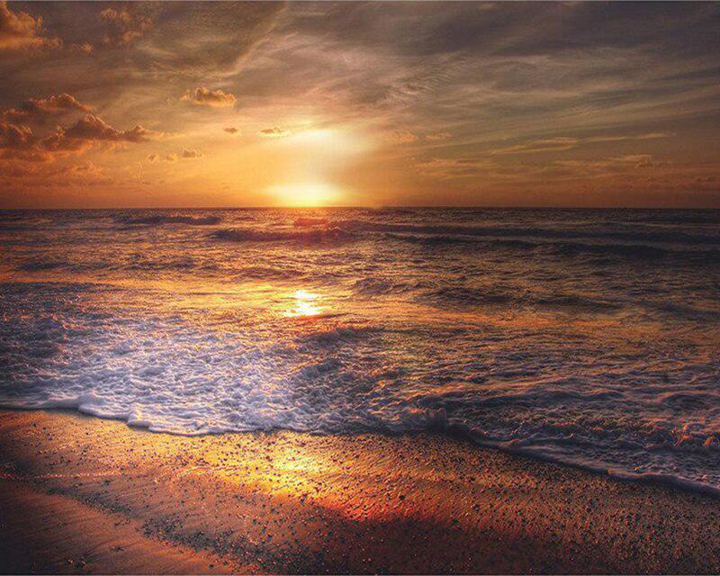 Diamond Painting Ice Fire Double Wolf Full Drill Square Round Diamond Embroidery Brown Dog Animal Rhinestone Kit Handicraft Handmade Gift