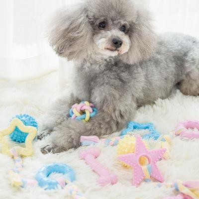 Perros – Juguetes para perros