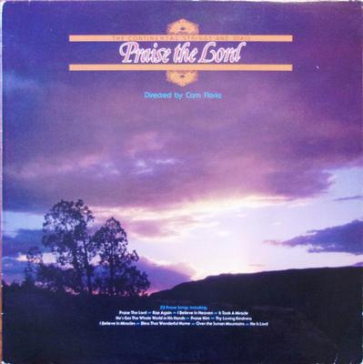 LP Record CONTINENTAL STRINGS & BRASS - Praise The Lord NL08026 New Life Record 1980 US Folk Used
