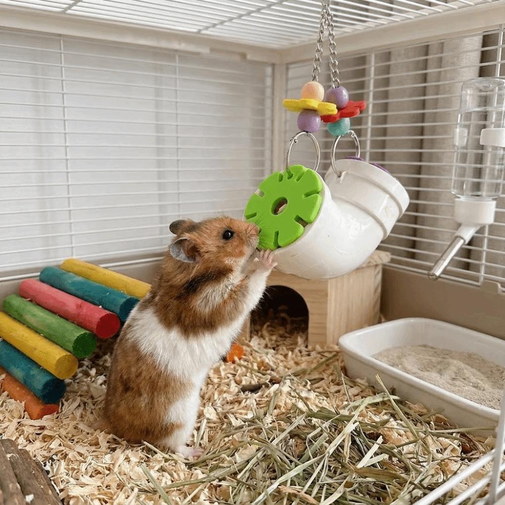 Colorful Hamster Foraging Pipeline Plastic Bite Resistant Bird Gnawing Hidden Snack Games Pet Bird Cage Accessory