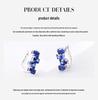 Elegant Irregular-Shaped Earrings with 925 Plating and Blue Sapphire Inlays - High-End Ear Studs for Women
