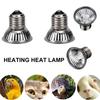 20/50/75W Heat Lamp UVA UVB Reptile Constant Temperature Lamp Full Spectrum Sunlamp Basking Pet Light Coop Chick Pet Turtle Lamp
