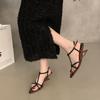 Niche High-end Slope Heel Pointed Sandals Fairy Shoes 2025 Summer Temperament with Skirt Thin Strap Roman Shoes