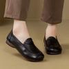 Autumn New Women's Soft-soled Versatile Non-slip Women's Shoes Shallow Single Shoes Small Leather Shoes