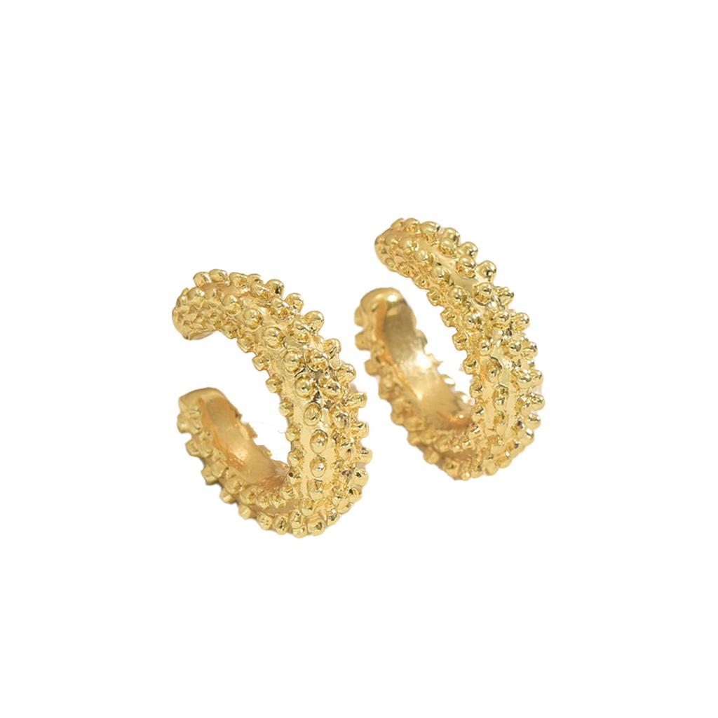 Exaggerated Style Women's Earrings Geometric C-shaped Metal Design High-end Stud Earrings Niche Earrings Fashion