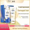 Dove Intensive Repair Amino Acid Shampoo & Conditioner Set