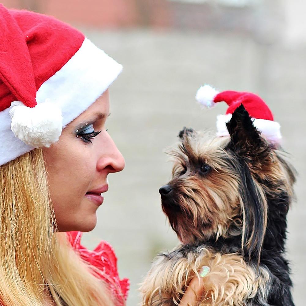 Christmas Pet Plush Hat: Cat and Dog Holiday Red Hat Decoration