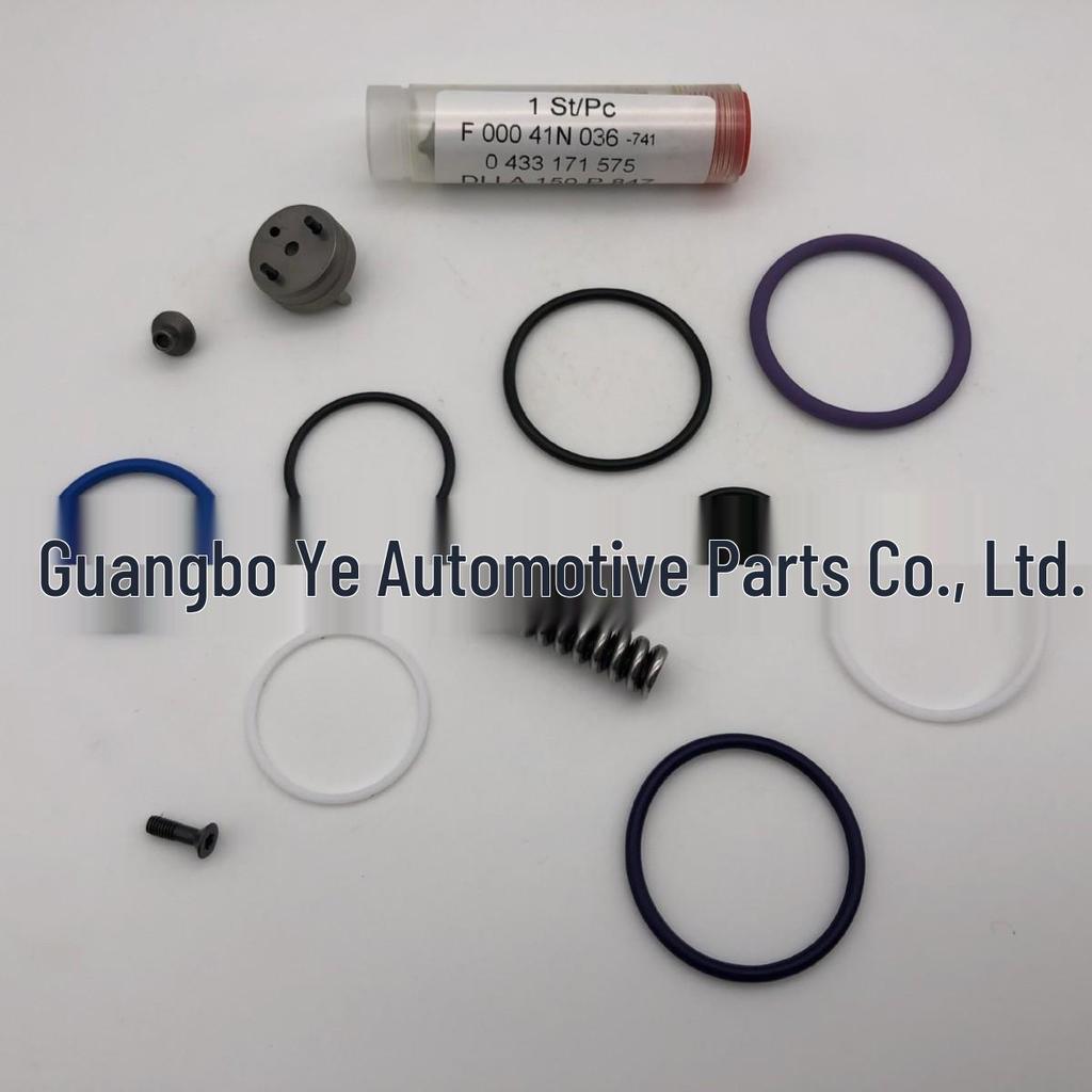 Injector Repair Kit F00041N036 for 1420379 Pump Nozzle