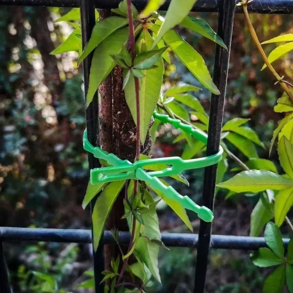 100Pcs Reusable Plant Cable Ties Plant Stem Clip  For Plants Vine Shrubs Support Fastener Organizer