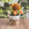 Knitting Crochet Rose Flowers Potted Plants, Mini Cute Home Desktop Decorations and Gifts for Friends, Classmates, Teacher - Christmas, Birthday Gift
