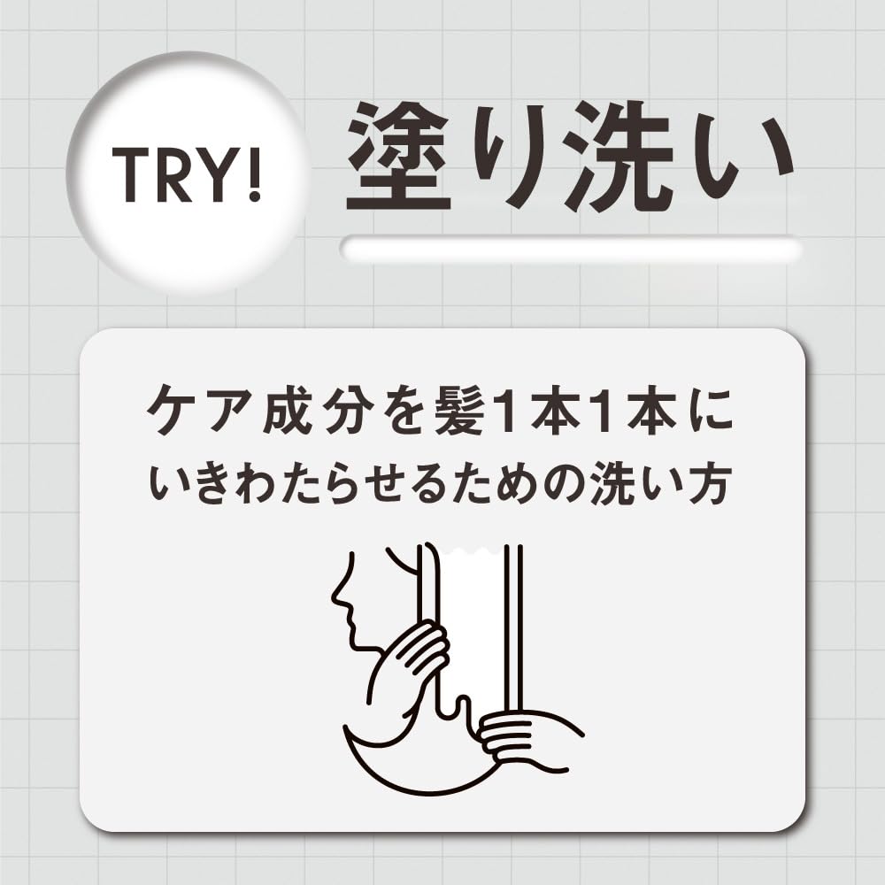 THE ANSWER Super Lamellar Shampoo EX Gloss Treatment FOR HEAT DAMAGE Pillow 12ml 12g & (Shiny & Smooth) & (1 Serving)