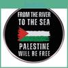 Palästinensische Befreiungsanstecknadel Free Palestine Abzeichen mit Metalllegierungskonstruktion