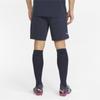Puma Teamfinal Casuals Shorts 65738706 R S