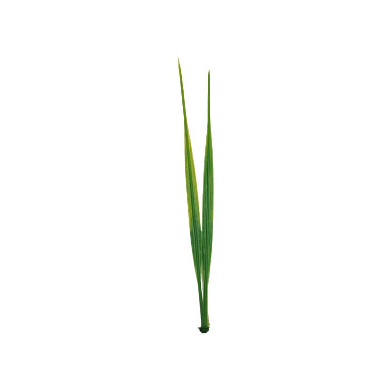 Three-Pronged Grass Seed Bonsai: Small Potted Simulation Lawn and Aquatic Plant