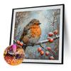 30x30cm Bird 5D DIY Full Drill Round Diamond Painting Kit for Home Wall Decor