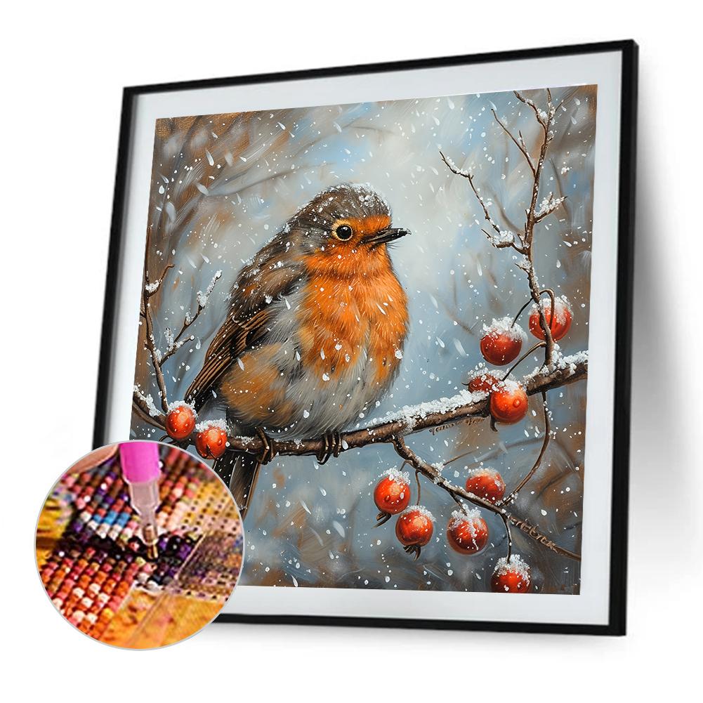 30x30cm Bird 5D DIY Full Drill Round Diamond Painting Kit for Home Wall Decor
