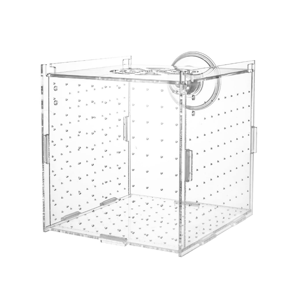 

ideamall Fish Breeding Isolation Box, Aquarium Hatching and Spawning Box, Fish Isolation, Aquarium Accessory, Clear Acrylic (15cm x 15cm x 15cm)