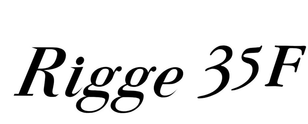 Zipbaits Rigge 35F Floating Lure 509 (9615)