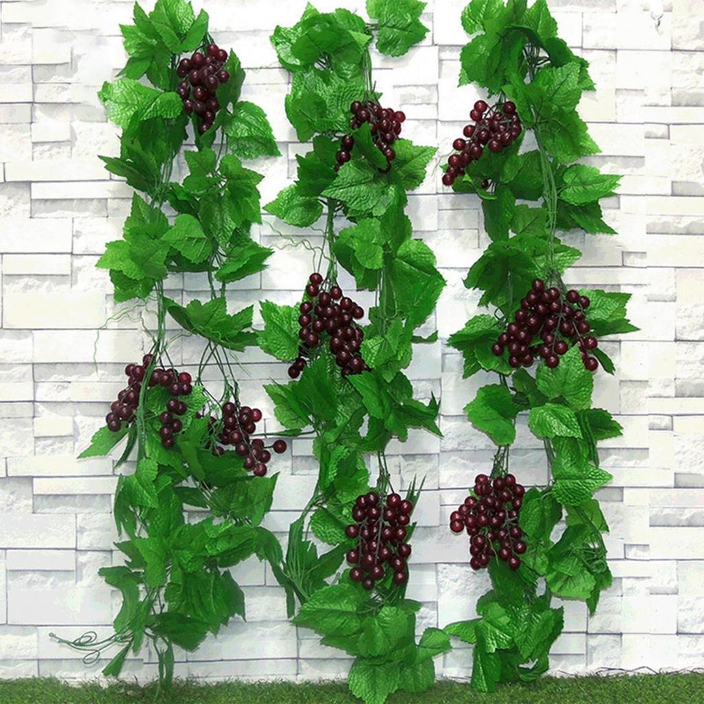 Vite Artificiale Vite d'Uva Vite d'Uva Fruttata Nuovissimo
