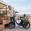 Elektrický bicykel Apefox Rh30 18" koleso 500W motor Mestský elektrický nákladný bicykel 48V 15Ah Dvojité kotúčové brzdy 7 rýchlostí Maximálny dojazd 70 km Modrý