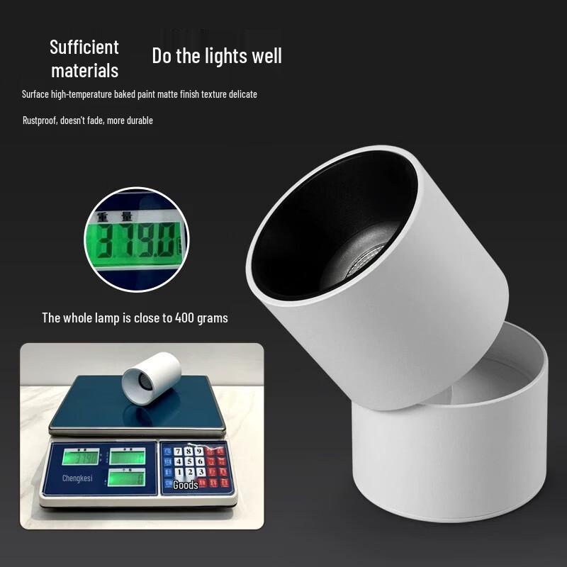 Oeny Adjustable Angle LED Downlight