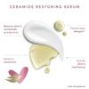 Crème hydratante - Colombe - Légère - 250ml - Céramides - Non testé sur les animaux