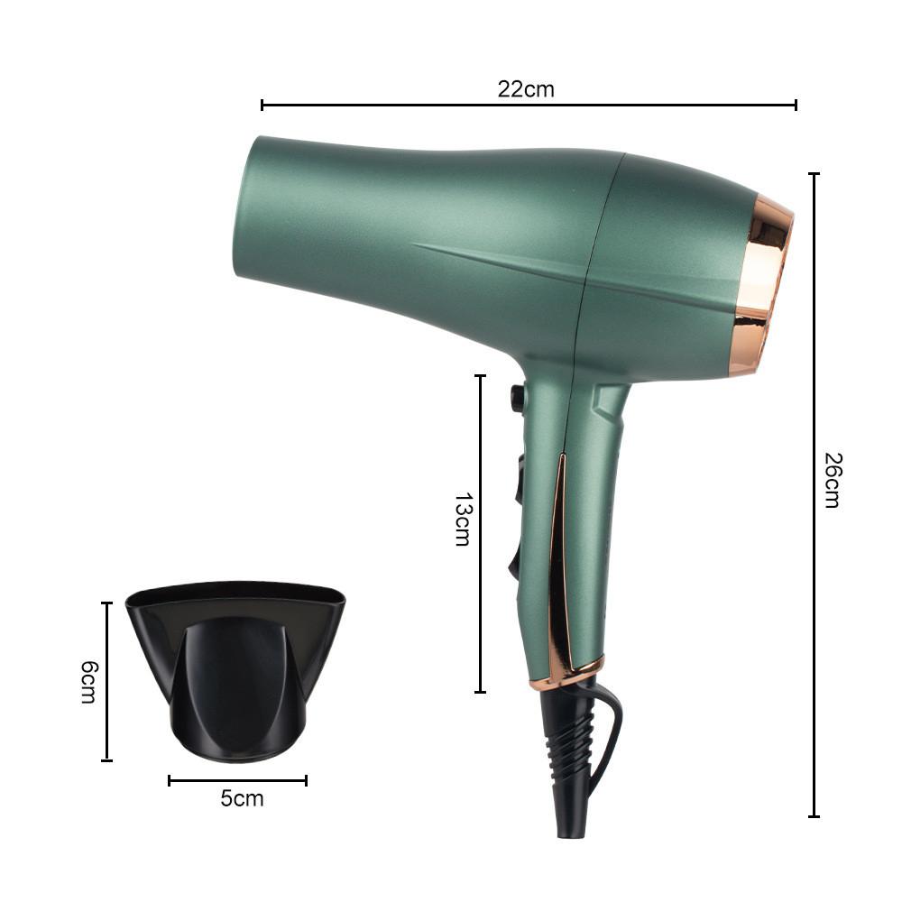 2200W 2 Speed Household High Power Electric Hair Dryer Adjustable Hair Salon Professional Blow Dryer