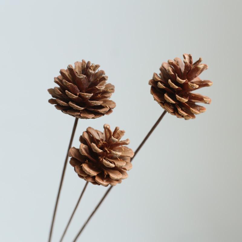 Yunnan Dried & Immortal Flowers Bouquet: Baby's Breath, Roses, Forget-Me-Nots for Home & Homestay Decor
