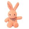 Colorful Rabbit Scarf Plush Toy Cute Cartoon Kid Companion Birthday Gift Doll