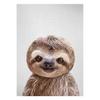 Realistic Furry Animals Cute Prints Poster Canvas Painting Hd Modern Wall Art Pictures For Living Room Bedroom Home Decoration