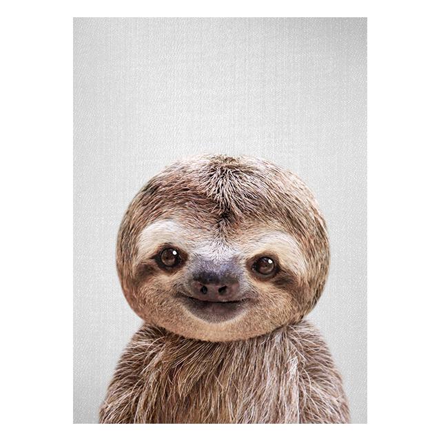 Realistic Furry Animals Cute Prints Poster Canvas Painting Hd Modern Wall Art Pictures For Living Room Bedroom Home Decoration