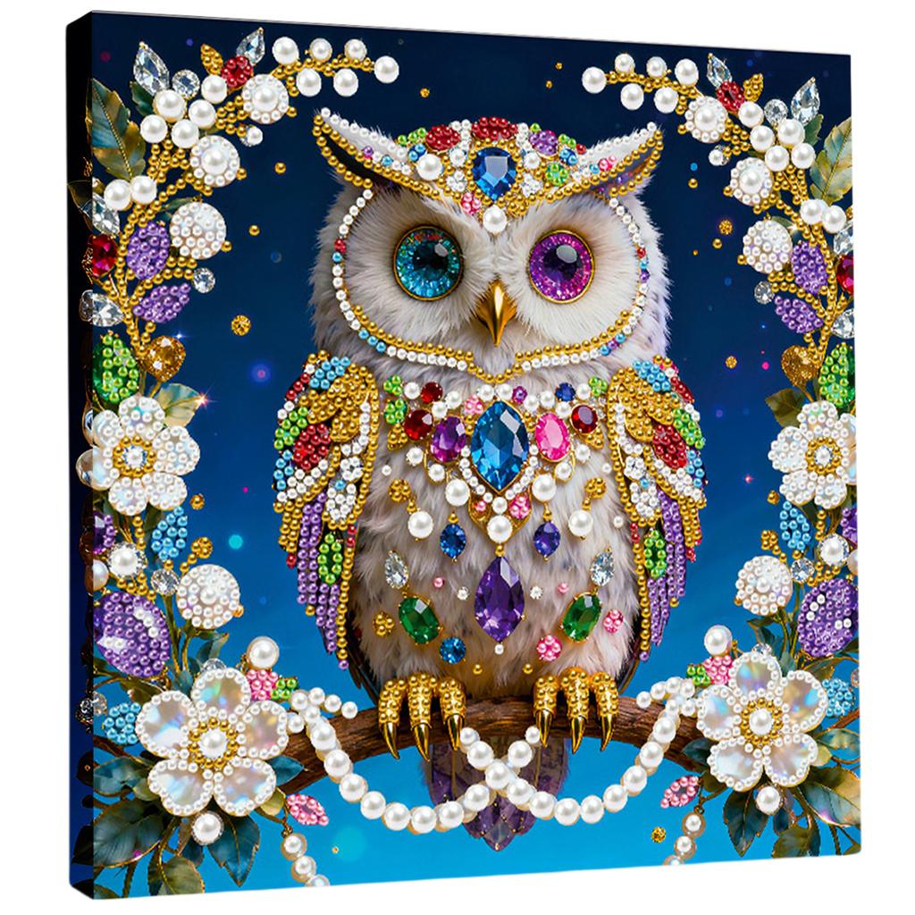 Zestawy do malowania diamentami i tworzenia obrazów z pereł i klejnotów DIY dla dorosłych Dekoracja domu Obrazy z diamentowymi kropkami Sztuka i rękodzieło 25x25cm Z ramką