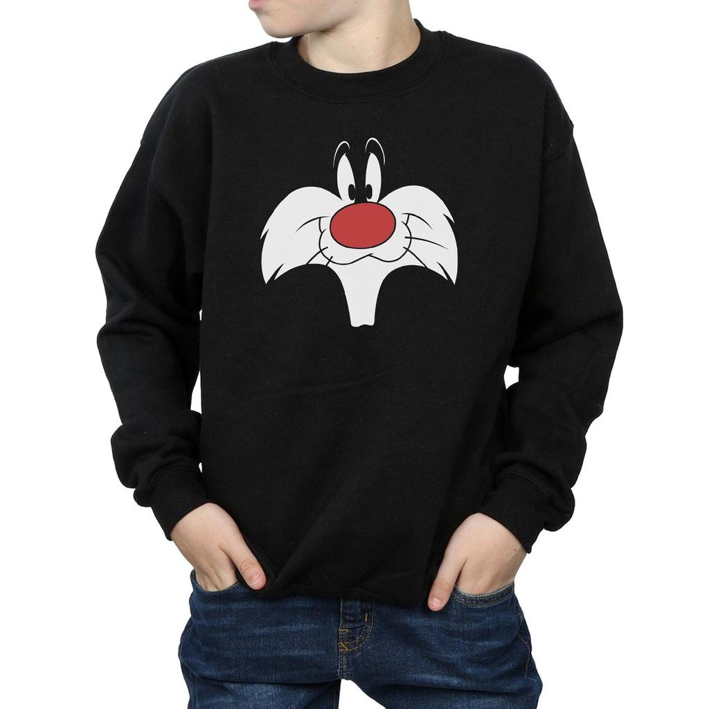 Looney Tunes Boys Sylvester Big Face Sweatshirt