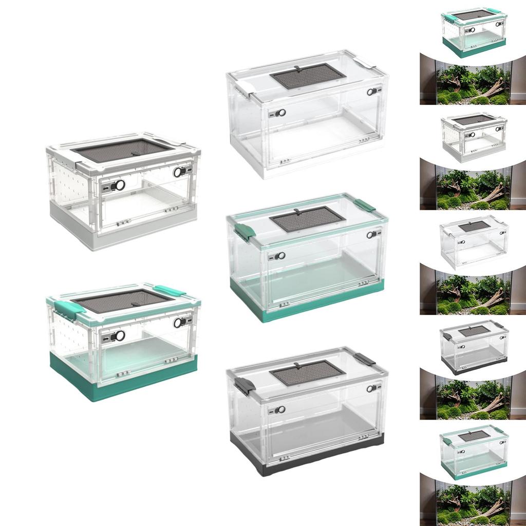 Transparent Foldable Reptile Terrarium Ventilated Box Multipurpose 360 Degree Viewing Portable Mesh Top Panel Breeding Tank