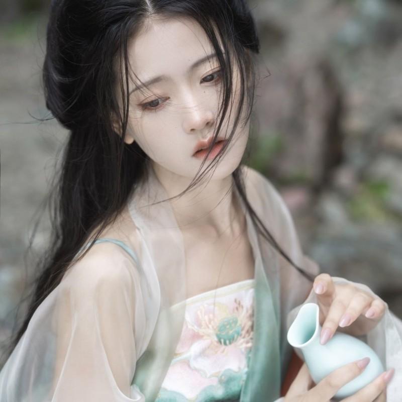 Womens Tang Dynasty Style Hanfu Set Embroidered Wide Sleeve Top Printed Skirt Chiffon Four Outfit