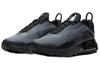 Nike Air Max 2090 Low Black Wolf Grey  CJ4066-001