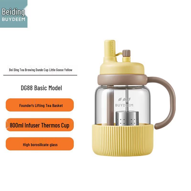 Beiding Tea Infuser Bottle